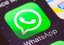 WhatsApp will activate the “deadline” to automatically leave the groups